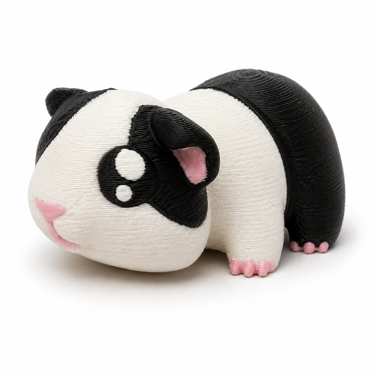 Guinea pig
