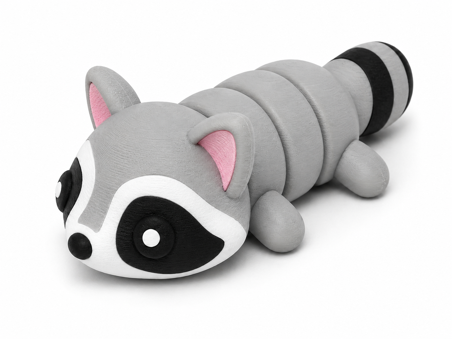 Racoon